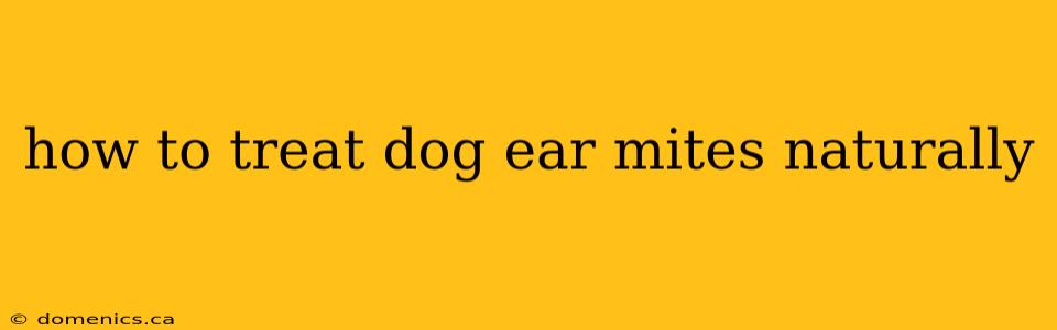 how to treat dog ear mites naturally