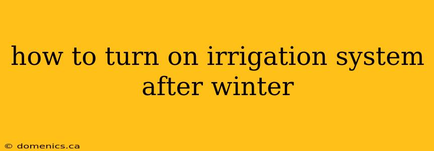 how to turn on irrigation system after winter