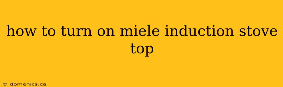 how to turn on miele induction stove top