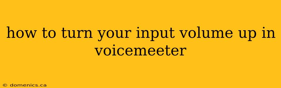 how to turn your input volume up in voicemeeter