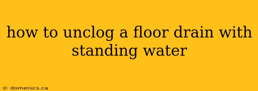 how to unclog a floor drain with standing water