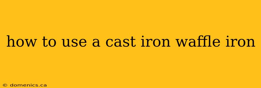 how to use a cast iron waffle iron