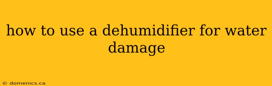 how to use a dehumidifier for water damage