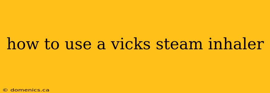 how to use a vicks steam inhaler