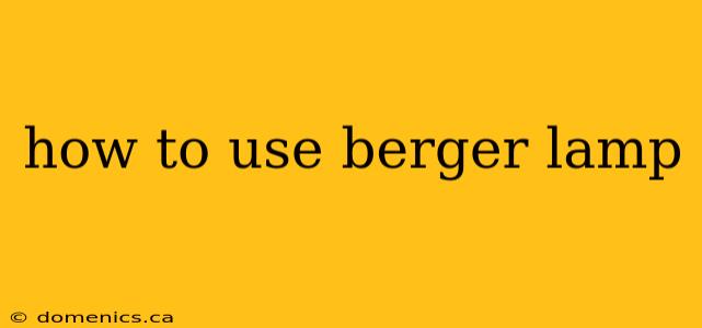 how to use berger lamp