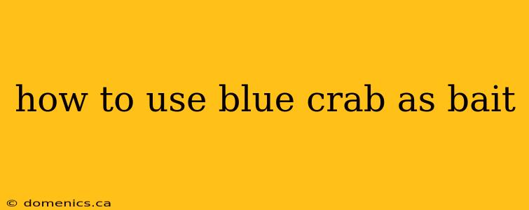 how to use blue crab as bait