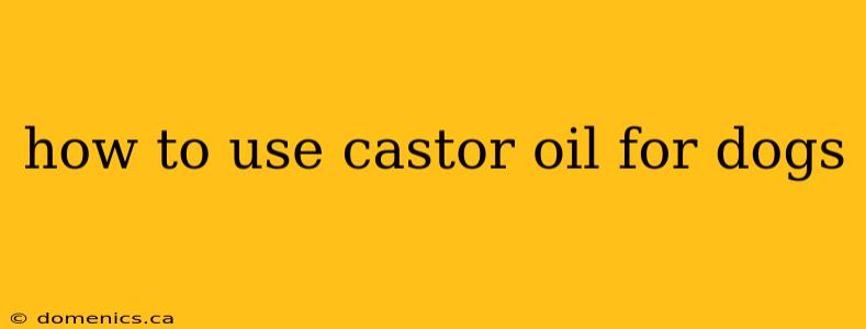 how to use castor oil for dogs