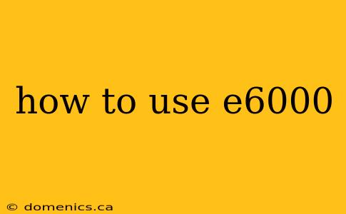 how to use e6000