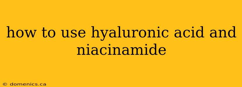 how to use hyaluronic acid and niacinamide