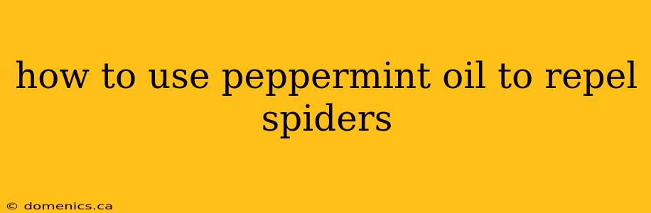 how to use peppermint oil to repel spiders