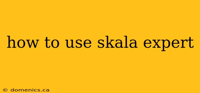 how to use skala expert
