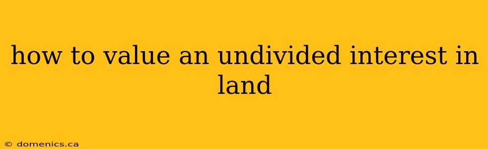 how to value an undivided interest in land