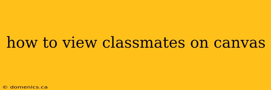 how to view classmates on canvas