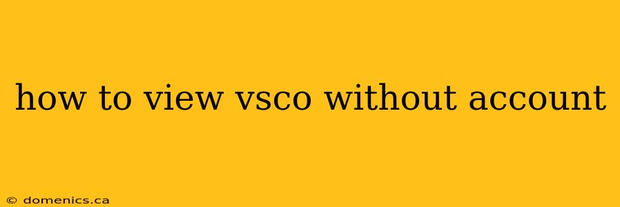 how to view vsco without account