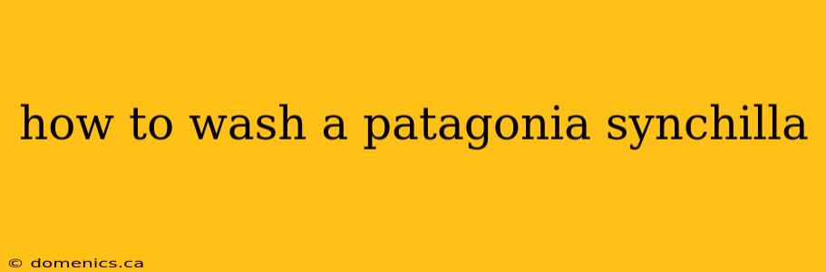 how to wash a patagonia synchilla