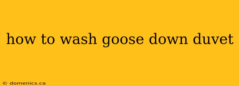 how to wash goose down duvet