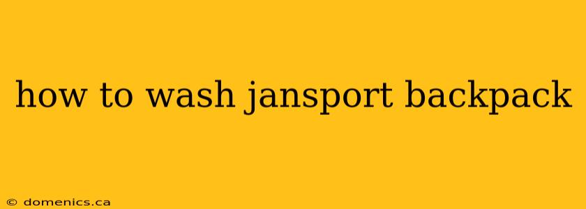 how to wash jansport backpack