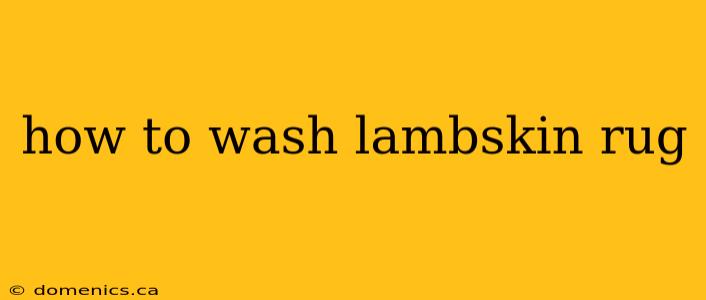 how to wash lambskin rug