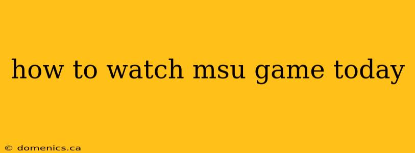 how to watch msu game today