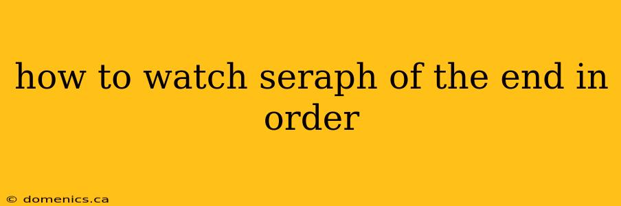 how to watch seraph of the end in order