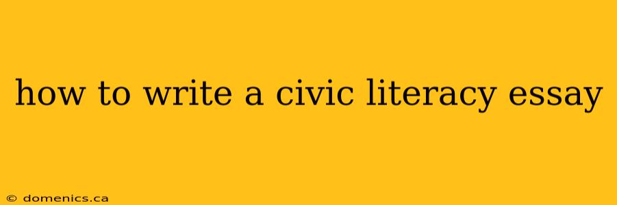 how to write a civic literacy essay