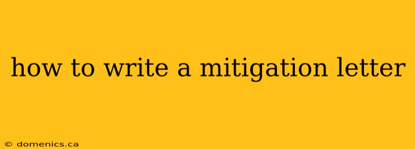 how to write a mitigation letter