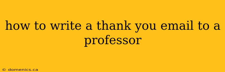 how to write a thank you email to a professor