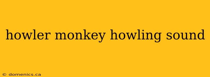 howler monkey howling sound