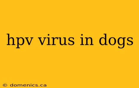 hpv virus in dogs