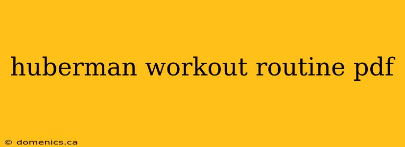 huberman workout routine pdf