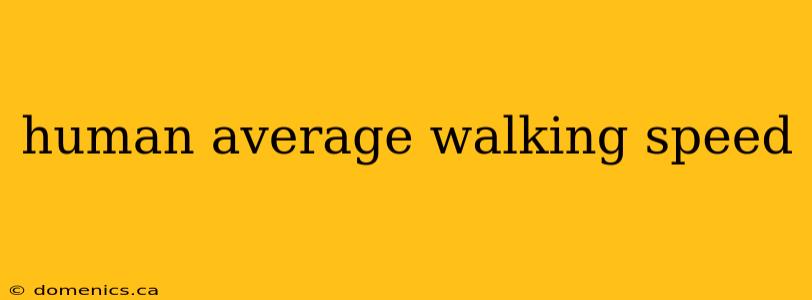 human average walking speed