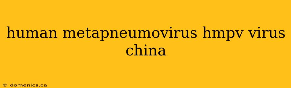 human metapneumovirus hmpv virus china