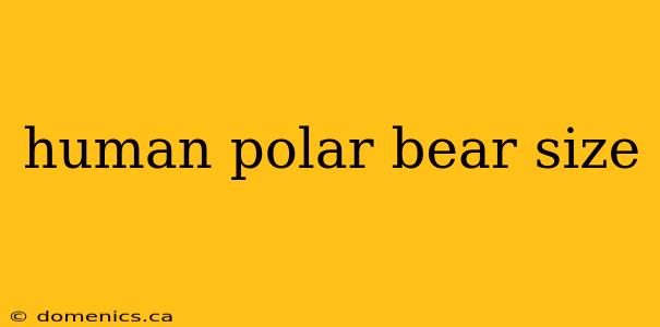human polar bear size