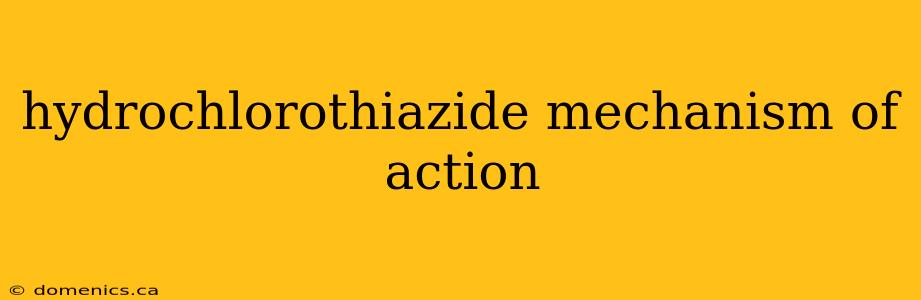 hydrochlorothiazide mechanism of action