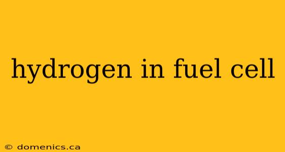 hydrogen in fuel cell