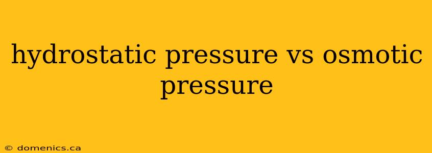 hydrostatic pressure vs osmotic pressure