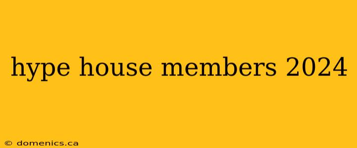 hype house members 2024