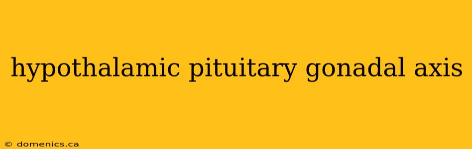 hypothalamic pituitary gonadal axis