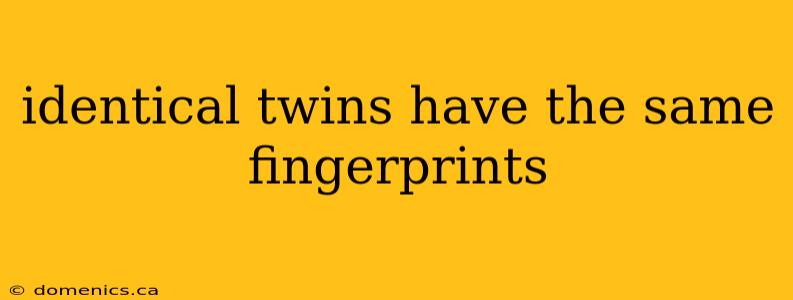 identical twins have the same fingerprints