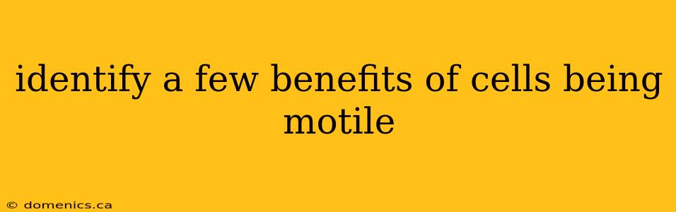 identify a few benefits of cells being motile