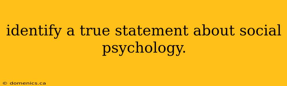 identify a true statement about social psychology.