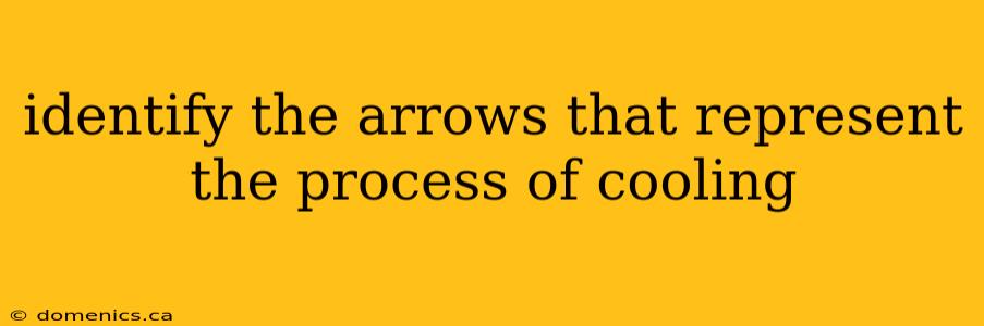 identify the arrows that represent the process of cooling