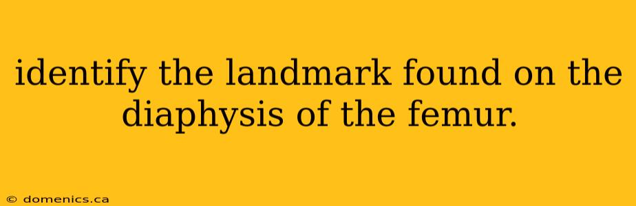 identify the landmark found on the diaphysis of the femur.