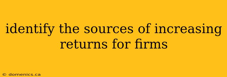 identify the sources of increasing returns for firms