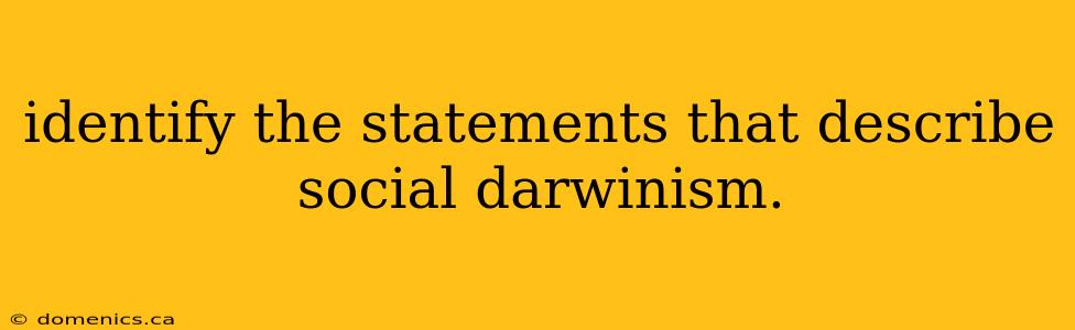 identify the statements that describe social darwinism.