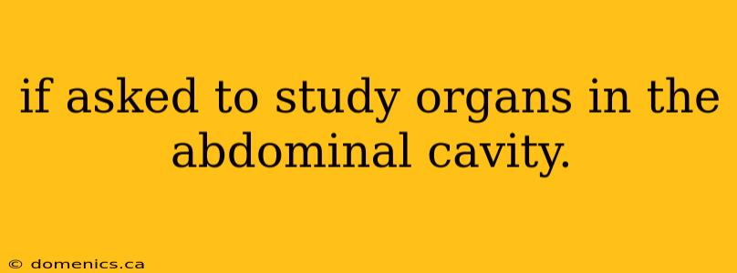 if asked to study organs in the abdominal cavity.