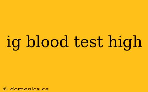 ig blood test high