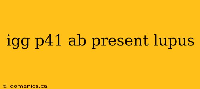 igg p41 ab present lupus