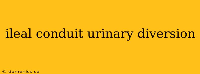 ileal conduit urinary diversion