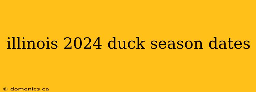 illinois 2024 duck season dates